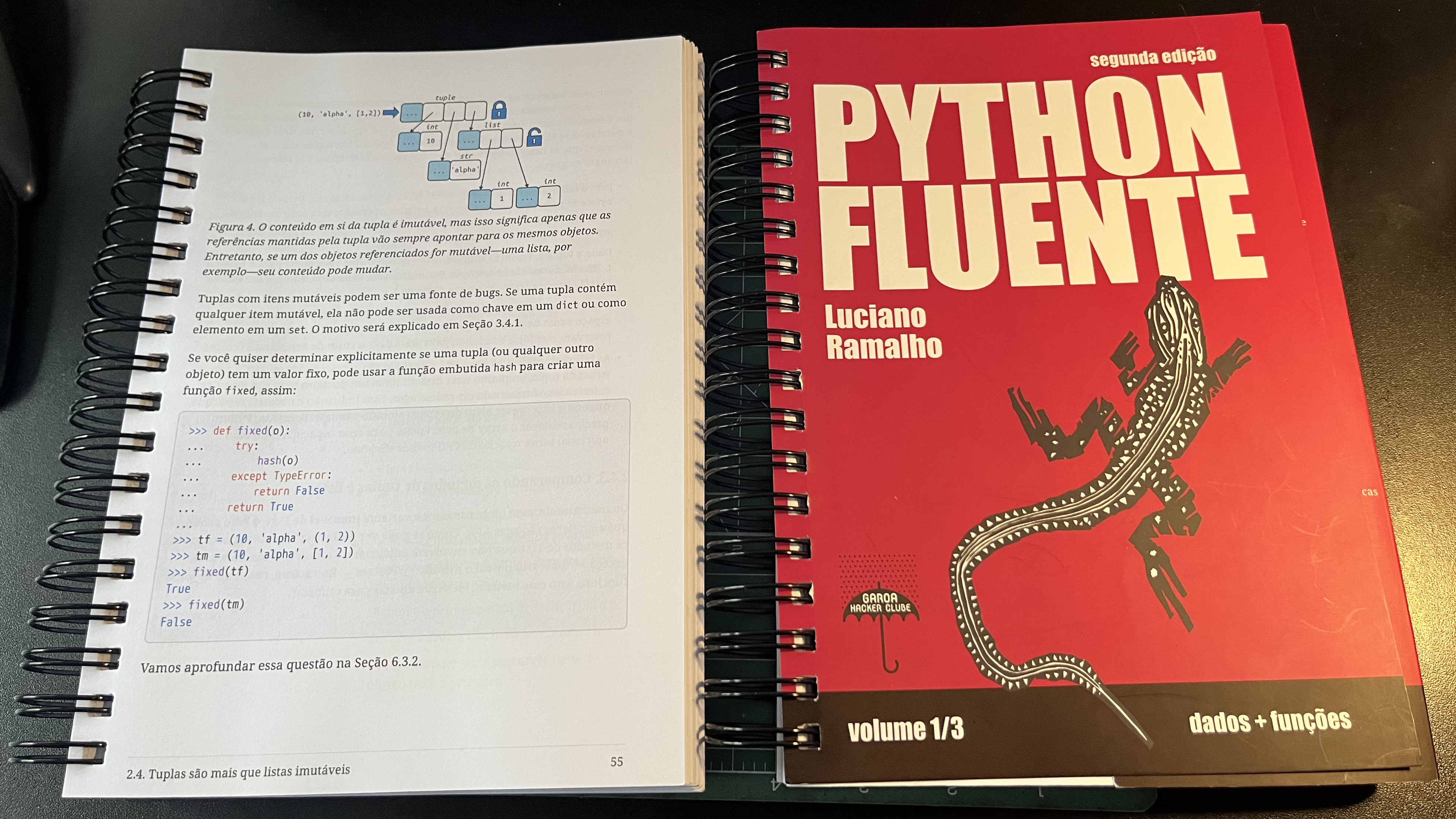 Foto de dois bonecos do Python Fluente vol.1 __dunder__.
O boneco da esquerda está aberto mostrando um diagrama em uma listagem coloridos. O da direita está fechado, mostrando a capa.